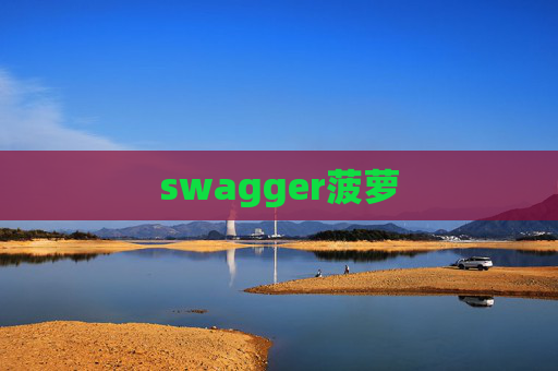 swagger菠萝 swagger菠萝